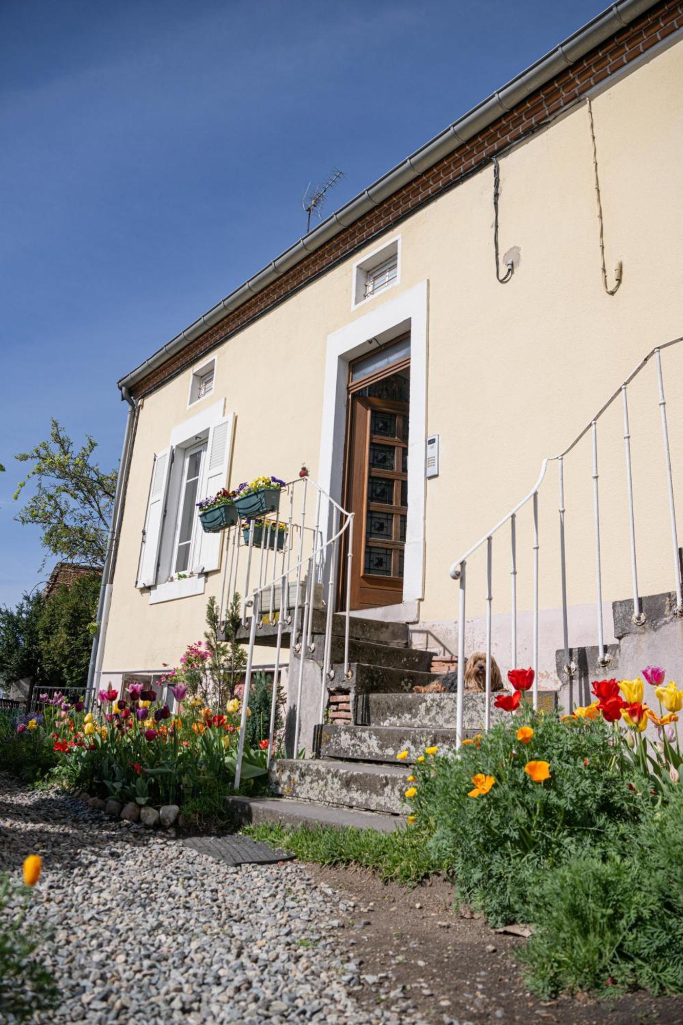 La Belle Rive Du Voyageur Bellerive-sur-Allier Exterior foto